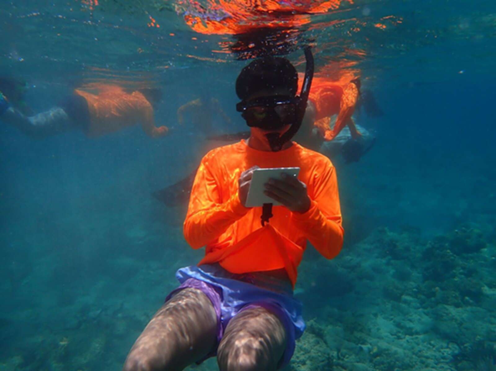 NASA trains Puerto Rican students in oceanography and tropical marine ecosystems – NotiCel – La verdad como es – Noticias de Puerto Rico – NOTICEL