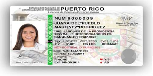 Podras Renovar Tu Licencia De Conducir Desde El Celular Noticel La Verdad Como Es Noticias De Puerto Rico Noticel
